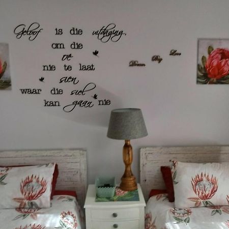 Froggy Bay Is The Best All The Way! Simonʼs Town Exteriér fotografie
