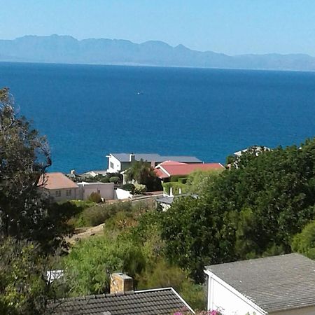 Froggy Bay Is The Best All The Way! Simonʼs Town Exteriér fotografie