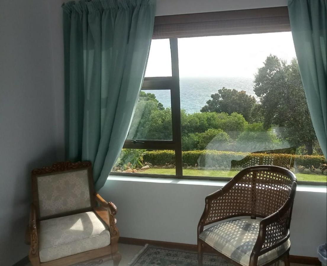 Froggy Bay Is The Best All The Way! Simonʼs Town Exteriér fotografie