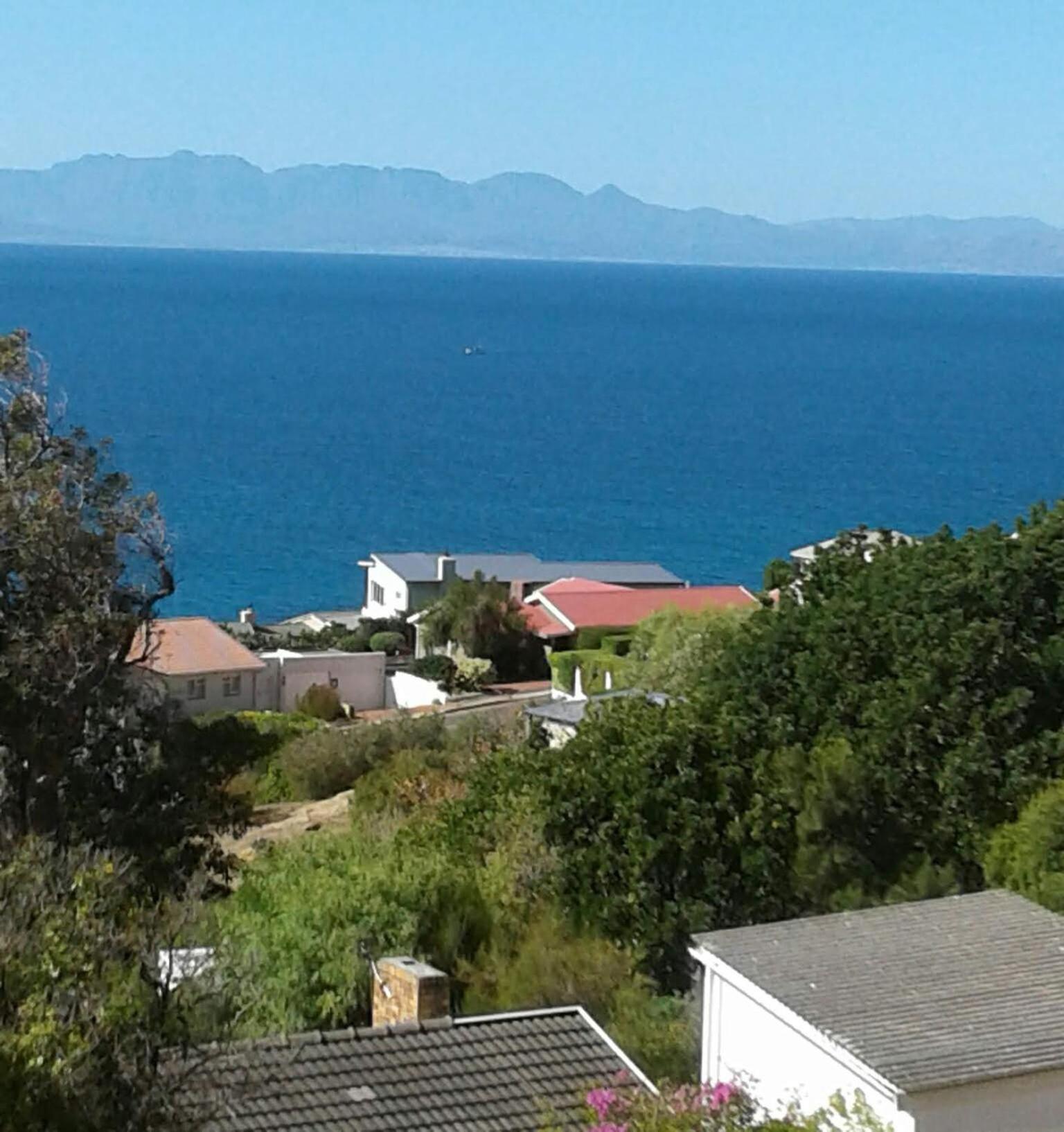 Froggy Bay Is The Best All The Way! Simonʼs Town Exteriér fotografie