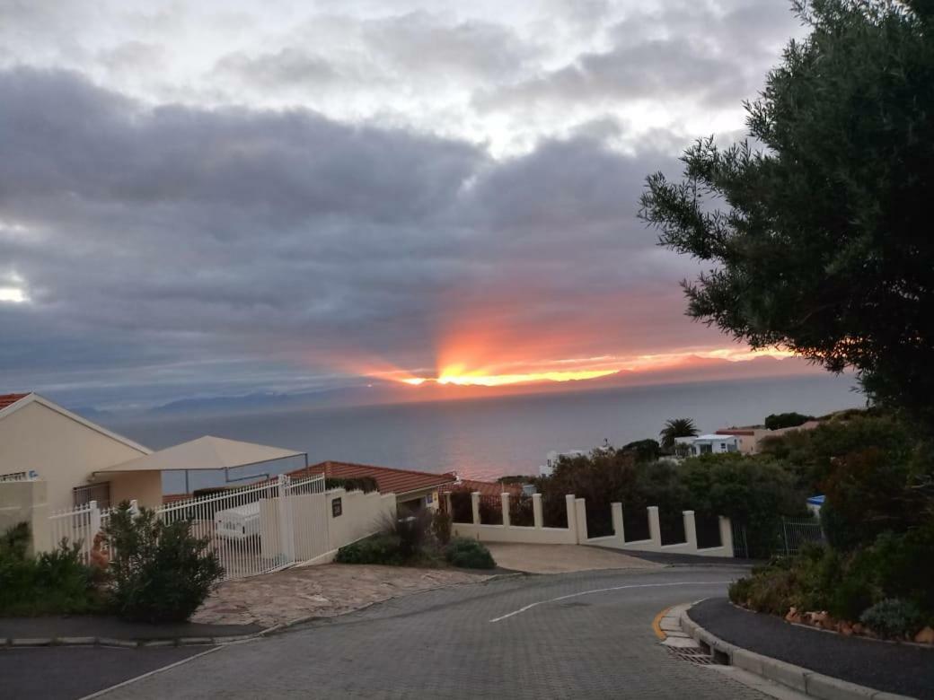 Froggy Bay Is The Best All The Way! Simonʼs Town Exteriér fotografie
